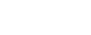 hive accounting logo (white)